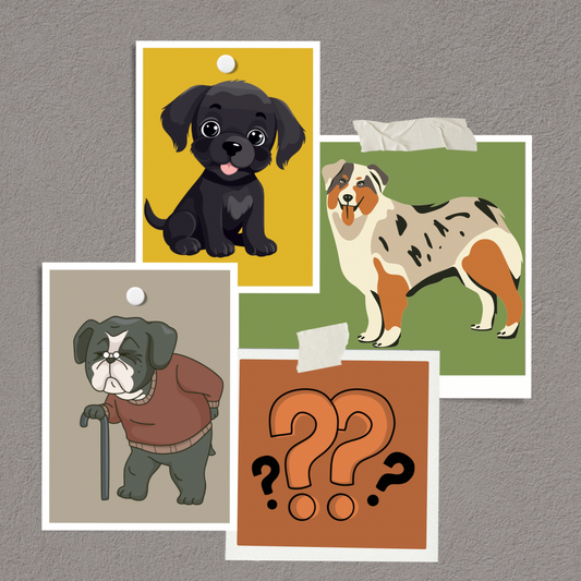 Quel âge à mon chien?
