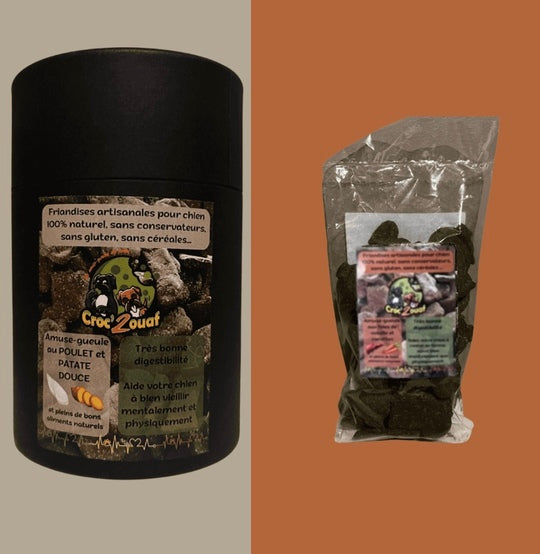 Découvrez les biscuits artisanaux Croc'2ouaf : naturels, sans céréales et parfaits pour les chiens sensibles.