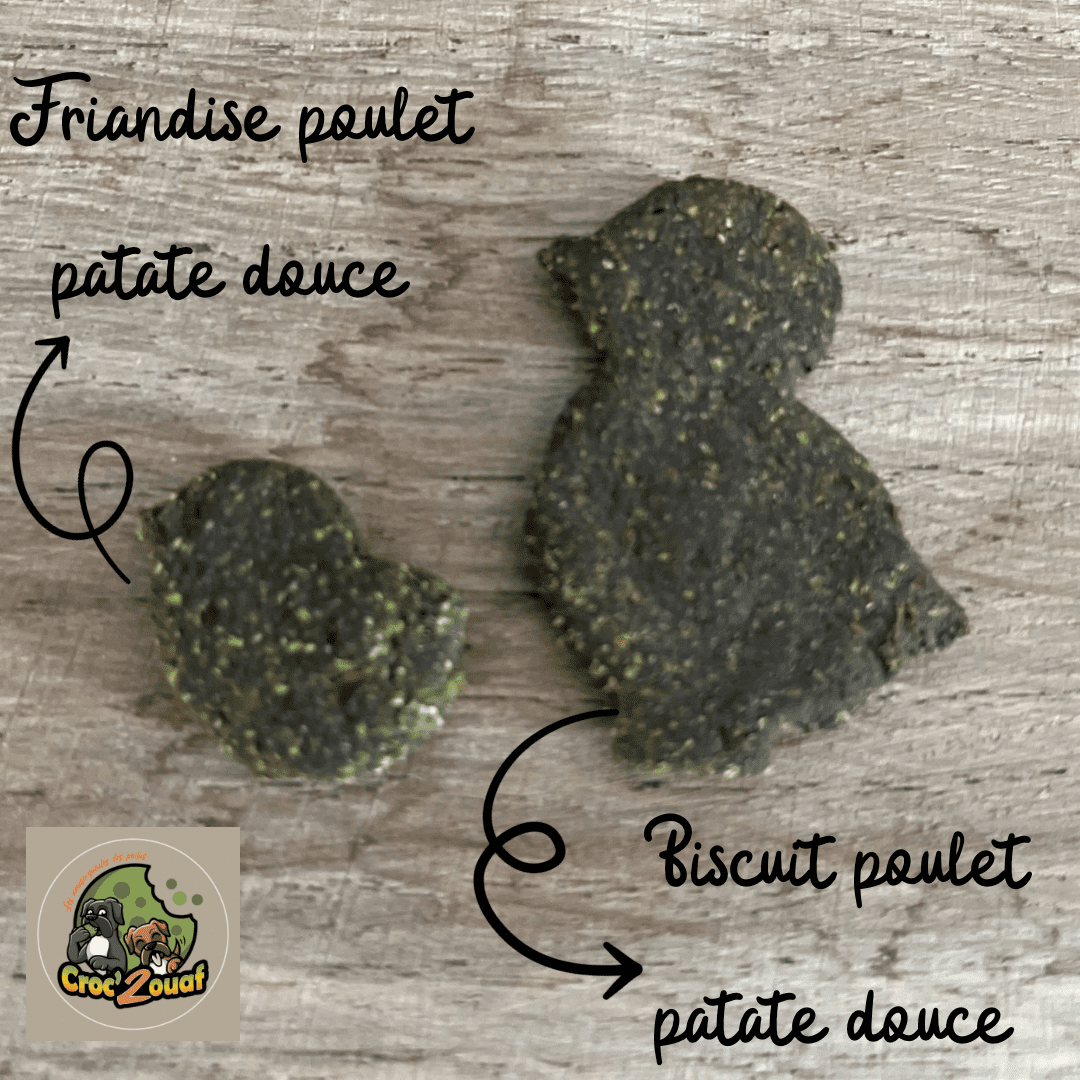 Friandises de travail Poulet Patate douce