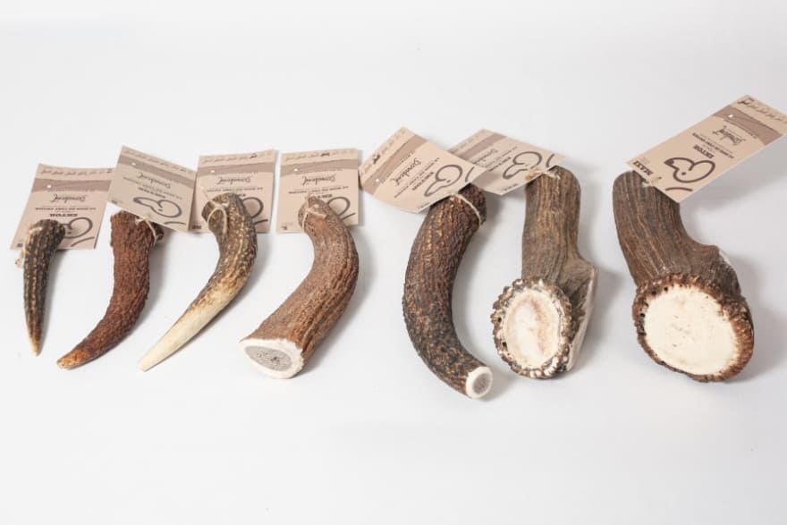 Bois de cerf entier