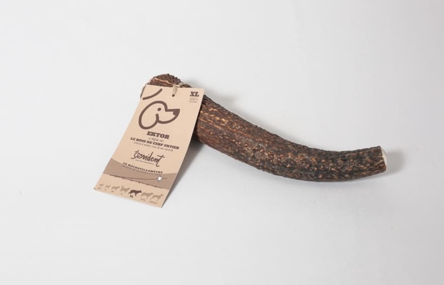 Bois de cerf entier