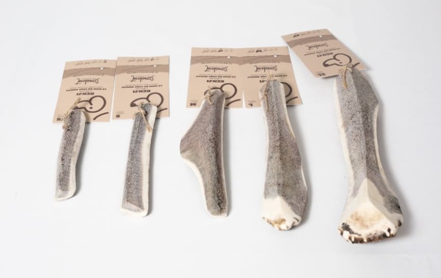 Mastication naturelle Croc’2ouaf