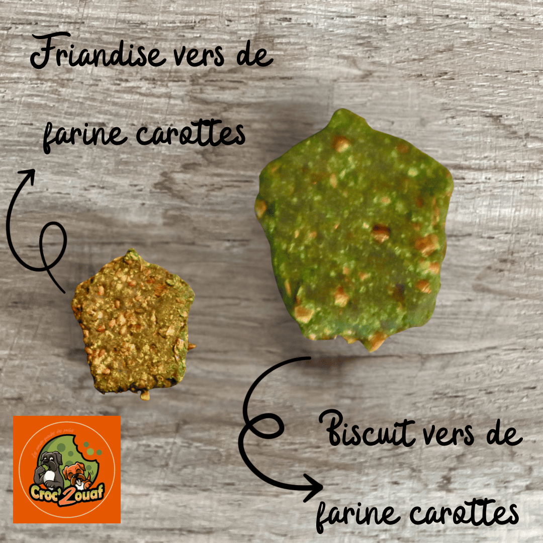 Recette pour être tolérée par les chiens allergiques ou intolérants.