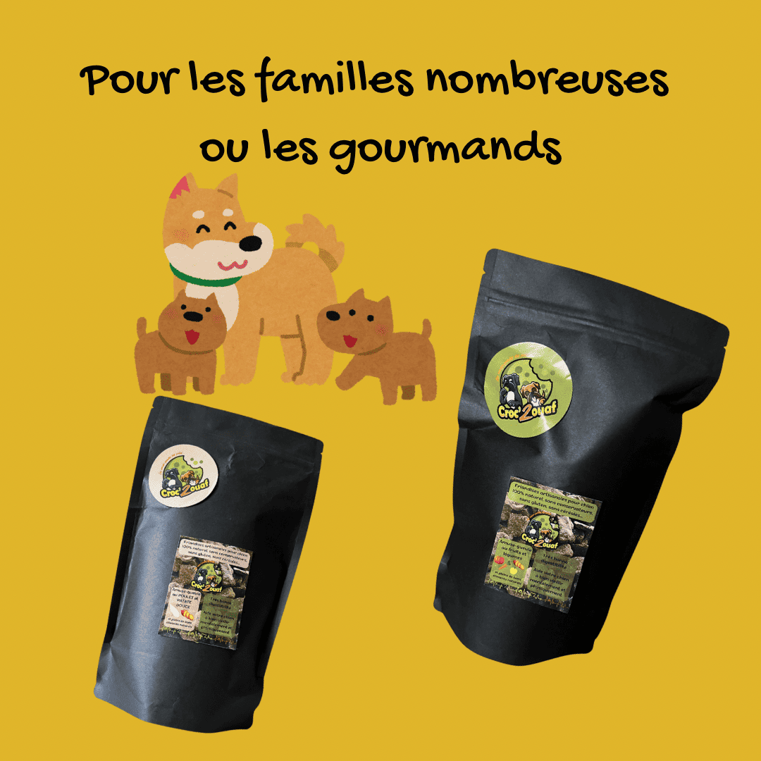 Gros volumes de friandises et biscuits pour chiens 