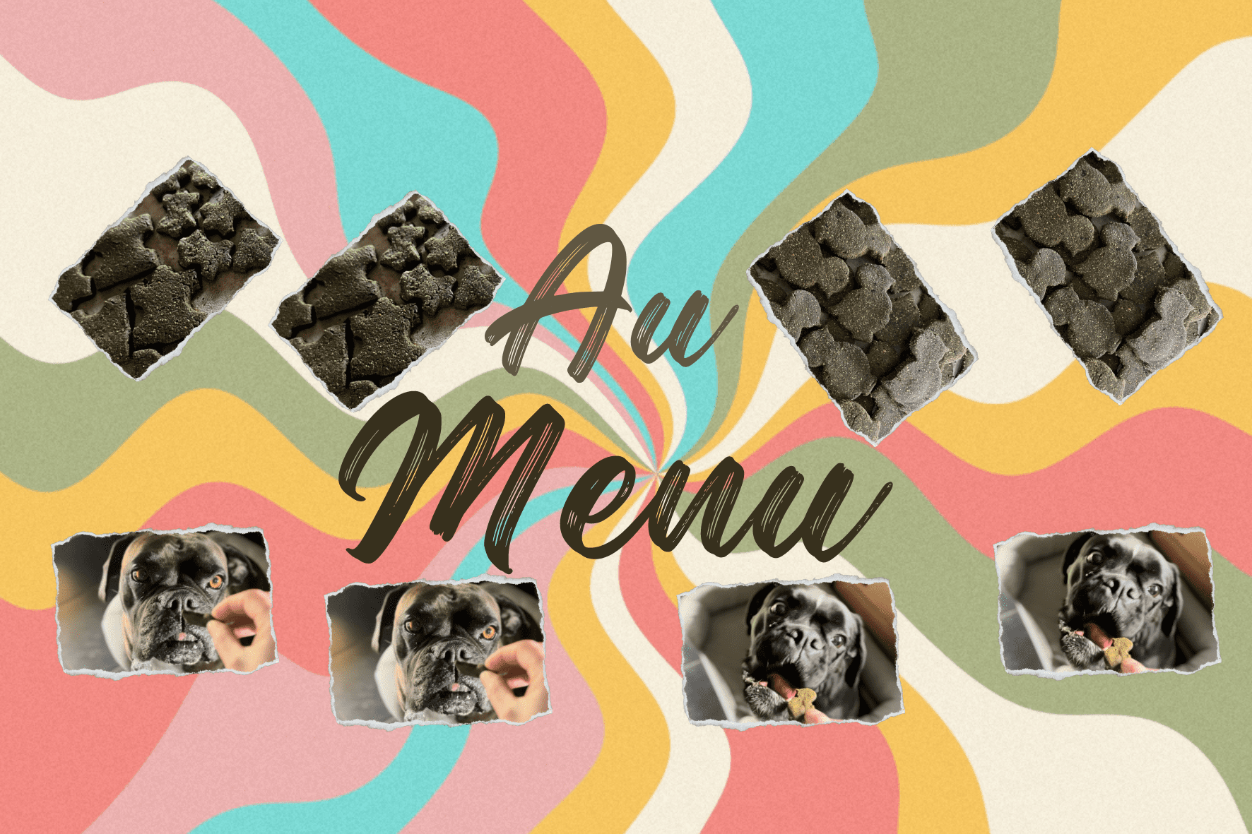 Biscuits et friandises artisanales pour chiens 